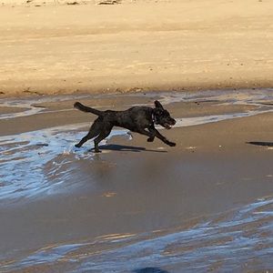 Meet your Posher, Lynn